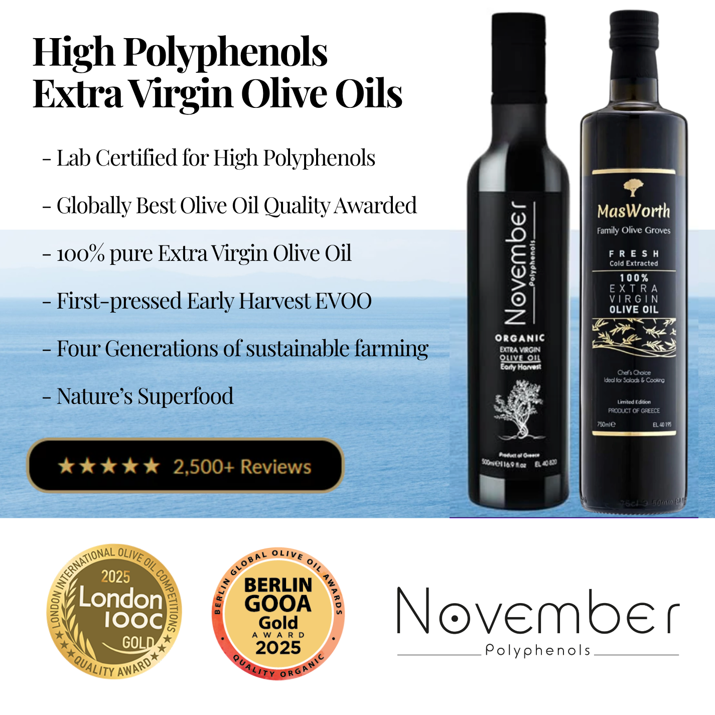 High Polyphenols EVOO - November Olive Oil MasWorth Extra Virgin Olive Oil