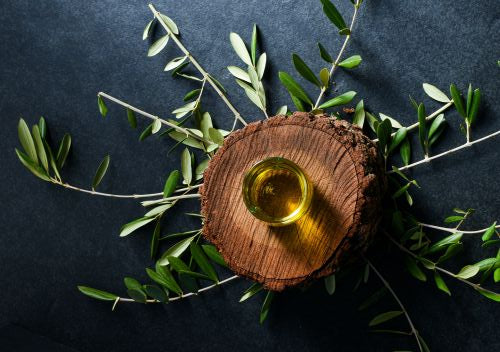 Fresh olive oil tastefully presented 