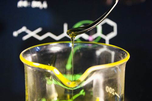 High-Polyphenol Olive Oil - What Is the Latest Research Telling Us?