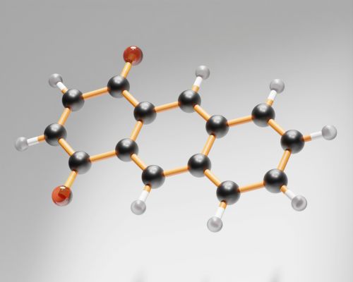 A polyphenol molecule
