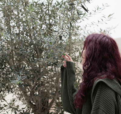The Health Benefits of Olive Oil for Women